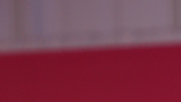 La venezolana también explicó los beneficios que aporta cada uno de los ingredientes de esta poderosa fórmula.