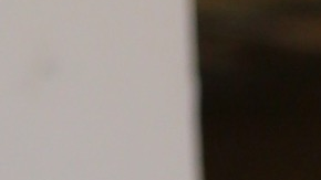 Chiquinquirá Delgado, Alejandra Espinoza y Raúl "El Gordo" de Molina serán parte de los conductores del pre-show y la alfombra roja de la 26ª entrega anual del Latin Grammy.