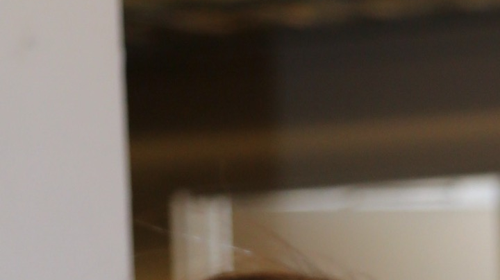 Chiquinquirá Delgado, Alejandra Espinoza y Raúl "El Gordo" de Molina serán parte de los conductores del pre-show y la alfombra roja de la 26ª entrega anual del Latin Grammy.