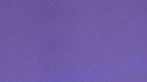 La demanda sostiene que los demandados cometieron fraude electrónico, interfirieron con el comercio interestatal mediante extorsión, y que cometieron actos de extorsión.