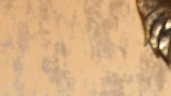 El artista venezolano describió la situación como lo más vergonzoso que ha podido vivir en sus 82 años de vida.