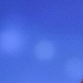 Fátima Bosch afirmó que no se doblegará ni se rendirá a pesar de las fuertes críticas en su contra.