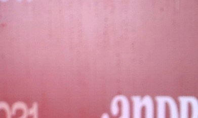 La presentadora exhortó a los dueños de mascotas a ser más responsables y mantener control sobre sus animales, con el fin de evitar incidentes que puedan afectar a otras personas.