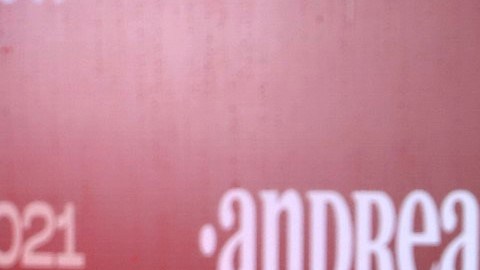 La presentadora exhortó a los dueños de mascotas a ser más responsables y mantener control sobre sus animales, con el fin de evitar incidentes que puedan afectar a otras personas.