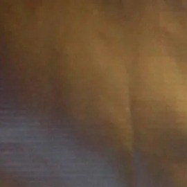 Ceriani sostuvo que el caso sigue en curso y que varias personas clave aún no han rendido testimonio.