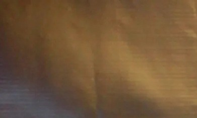 Ceriani sostuvo que el caso sigue en curso y que varias personas clave aún no han rendido testimonio.