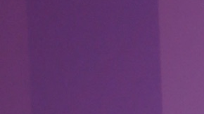 La conductora aseguró que estaba en el lugar y que su hija salió con el primer grupo de misses que abandonaron la sala en solidaridad con Fátima Bosch.