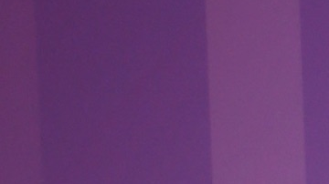 La conductora aseguró que estaba en el lugar y que su hija salió con el primer grupo de misses que abandonaron la sala en solidaridad con Fátima Bosch.