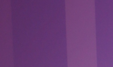 La conductora aseguró que estaba en el lugar y que su hija salió con el primer grupo de misses que abandonaron la sala en solidaridad con Fátima Bosch.