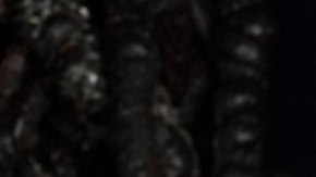 Millie Bobby Brown y David Harbour reaparecen juntos tras rumores de demanda por acoso laboral.