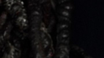 Millie Bobby Brown y David Harbour reaparecen juntos tras rumores de demanda por acoso laboral.