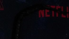 Millie Bobby Brown responde si demandó a David Harbour por acoso.