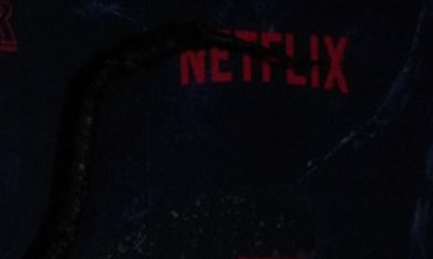 Millie Bobby Brown responde si demandó a David Harbour por acoso.