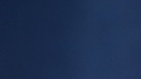 Candidata de Alemania se salió de las filas del Miss Universo.