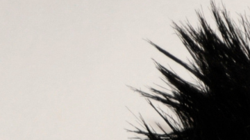 Lo que se sabe hasta ahora es que el tema formará parte de “Better Late Than Never”, el nuevo álbum de Romeo Santos.