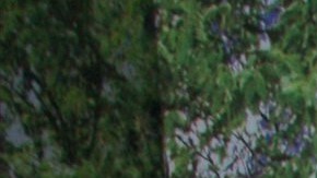 La distancia entre el actor y su hijo se incrementó tras unas declaraciones en las que se acusó a Eduardo Yáñez Jr. de haberle quitado dinero sin su consentimiento.