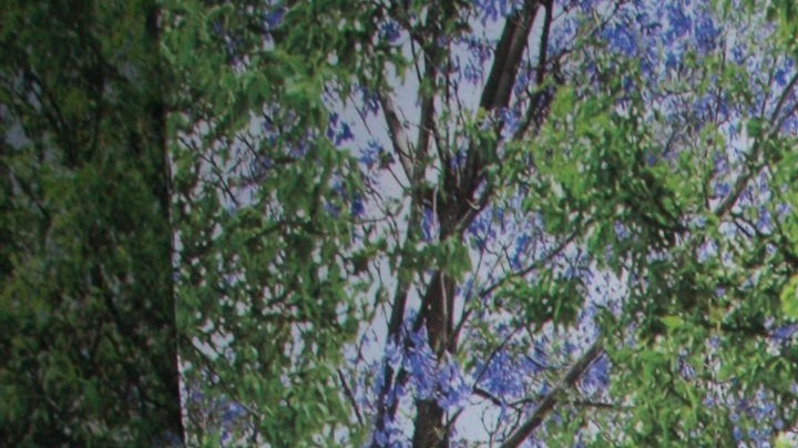 La distancia entre el actor y su hijo se incrementó tras unas declaraciones en las que se acusó a Eduardo Yáñez Jr. de haberle quitado dinero sin su consentimiento.