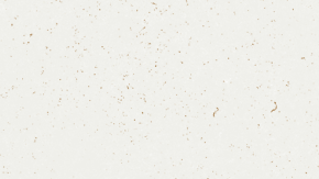 El boricua, que repite esta hazaña por cuarta vez, logró destronar a Taylor Swift, que ocupó el segundo lugar, seguida por The Weeknd, Drake, Billie Eilish y Kendrick Lamar, respectivamente.