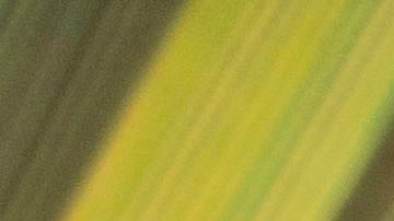 Los artistas expresaron que el conflicto entre Daddy Yankee y Raphy Pina dejará una gran lección en la industria musical sobre lo que no debe ocurrir durante los procesos creativos. (AP Photo/Wilfredo Lee)