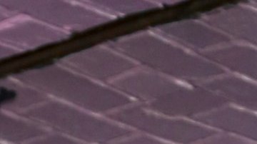 Alfredo Adame quedó como peón una vez más en "La Granja VIP".