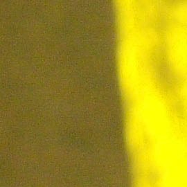 El nacimiento también coincide con un gran momento profesional para Horford, quien se mantiene en la élite del baloncesto estadounidense en plena madurez deportiva.﻿ (AP Photo/Victor Ruiz)