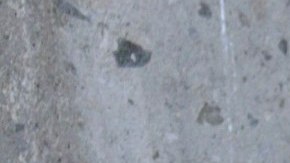 Eleazar Gómez y El Patrón protagonizan fuerte pelea en el reality de TV Azteca.