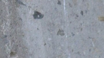 Eleazar Gómez y El Patrón protagonizan fuerte pelea en el reality de TV Azteca.