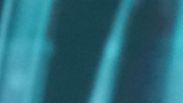 Fátima Bosch tiene un gusto musical muy variado que va desde el pop dance a rock alternativo.