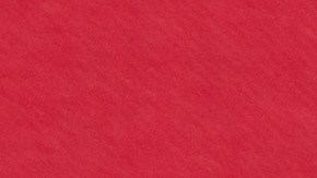 Las publicaciones revelaron desde reuniones íntimas y tradiciones innovadoras hasta anécdotas personales que permitieron conocer el lado más cotidiano de figuras reconocidas en el mundo del espectáculo.