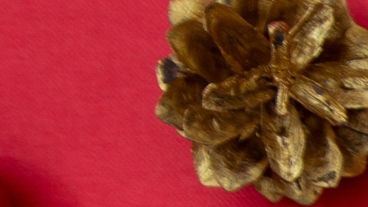 Las publicaciones revelaron desde reuniones íntimas y tradiciones innovadoras hasta anécdotas personales que permitieron conocer el lado más cotidiano de figuras reconocidas en el mundo del espectáculo.