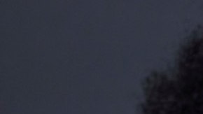 Jeremy O. Harris recuperó su libertad en Japón.