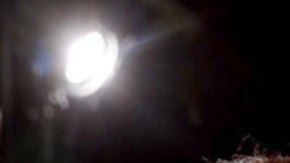 Mel GIbson y Rosalind Ross confirmaron el fin de su relación de casi 10 años.