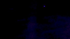 Niurka Marcos y su novio Bruno Espino darán el importante paso de casarse el año entrante.