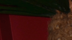 Ante estos comentarios, Yolanda Andrade también compartió un mensaje navideño en el que desmiente todas estas afirmaciones.