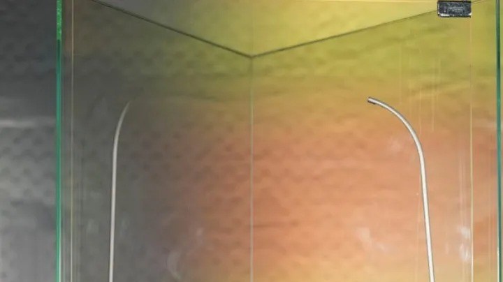 Raúl Rocha ya ha confirmó que ha cooperado con las autoridades mexicanas respecto a la carpeta de investigación que hay en curso.