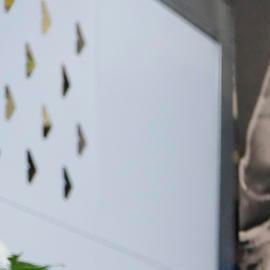 Se espera que al gran homenaje asistan diversas personalidades y cientos de fanáticos que siguieron de cerca la carrera del cantante de música popular colombiana.