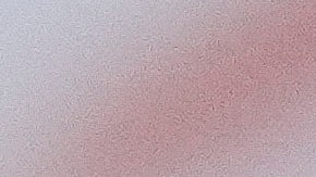 Sus colegas lo recordaron como un hombre generoso, trabajador y apasionado, con un futuro prometedor que se truncó demasiado pronto. (Photo by Jose Breton/Invision/AP)