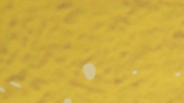 Andrea Legarreta tiene nuevo noviazgo con coach fitness.