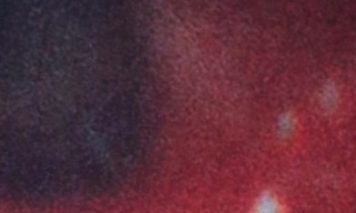 Ludwika Paleta mostró los mensajes intimidatorios que recibió en su cuenta de Instagram.