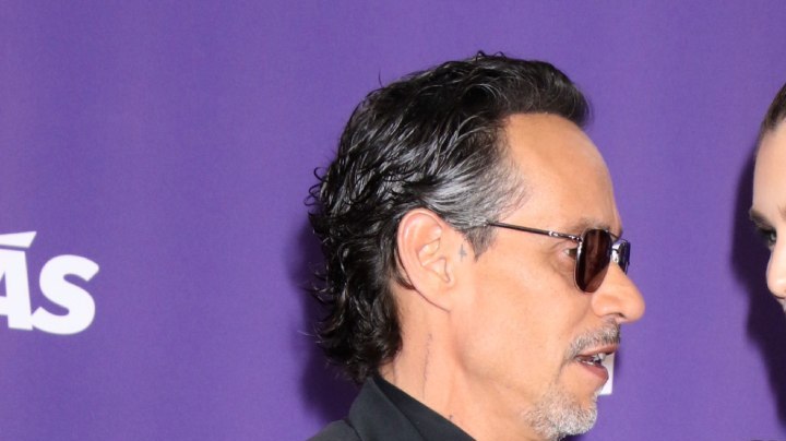 La lista de hijos de Marc Anthony se alarga con el nuevo embarazo de Nadia Ferreira.