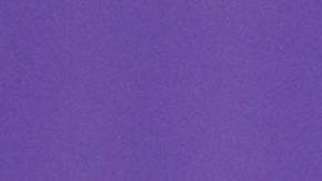 El anuncio no solo marca un momento especial para la modelo y el cantante, sino que también suma un nuevo integrante a la numerosa familia de Marc Anthony, quien con esta llegada alcanzará la cifra de ocho hijos.