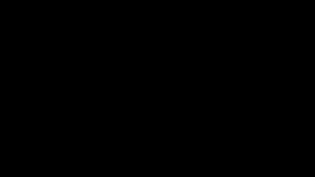 De acuerdo con el escrito, los productores continuarán anunciando más figuras que se unirán al espectáculo en las próximas semanas.