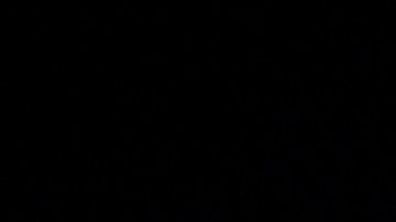 De acuerdo con el escrito, los productores continuarán anunciando más figuras que se unirán al espectáculo en las próximas semanas.