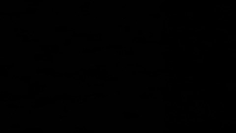 En el caso de Rosalía, la estrella española presentará su prestigiosa gira Lux, un espectáculo que ha causado una enorme sensación en cada país que ha visitado.