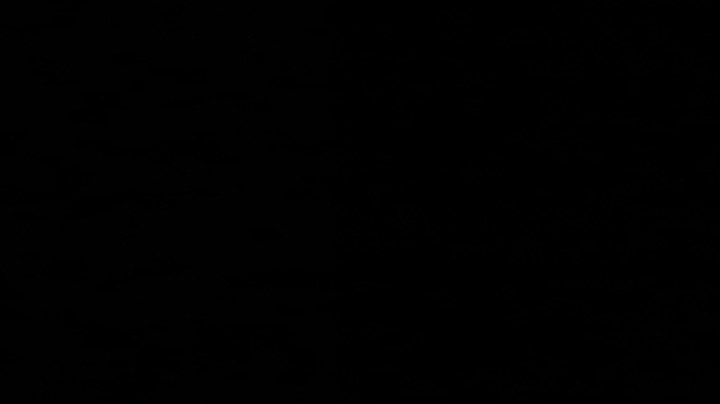 En el caso de Rosalía, la estrella española presentará su prestigiosa gira Lux, un espectáculo que ha causado una enorme sensación en cada país que ha visitado.