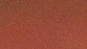 Bosch desfiló después de la reina de Ambato, Martina Salcedo, a bordo de un carro alegórico gigante decorado con flores, frutos naturales y granos, símbolos de la identidad productiva y cultural de la ciudad.