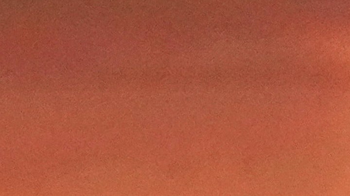 Bosch desfiló después de la reina de Ambato, Martina Salcedo, a bordo de un carro alegórico gigante decorado con flores, frutos naturales y granos, símbolos de la identidad productiva y cultural de la ciudad.