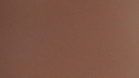 Su comportamiento reservado y los intentos por evitar las cámaras alimentaron múltiples interpretaciones en redes sociales. Para algunos usuarios, la escena resultó “inusual”, aunque no hay indicios de que el encuentro haya sido algo más que una reunión casual o laboral.