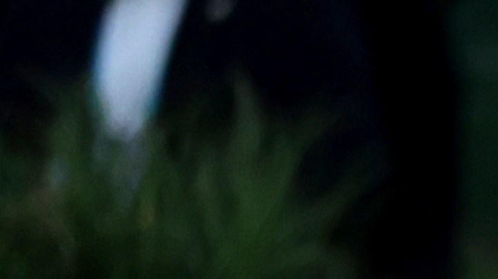 Ricky Martin se presenta durante el espectáculo de medio tiempo de Bad Bunny Apple del Super Bowl 60 de la NFL entre los Seattle Seahawks y los New England Patriots, el domingo 8 de febrero de 2026, en Santa Clara, California. (Adam Hunger/AP Content Services for NFL).