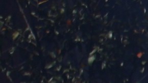 Peatones pasan junto a un vehículo calcinado tras ser incendiado en una carretera de Cointzio, Michoacán, México, el domingo 22 de febrero de 2026, tras la muerte del líder del Cártel Jalisco Nueva Generación, Nemesio Rubén Oseguera Cervantes, conocido como “El Mencho”. (Foto AP/Armando Solis).